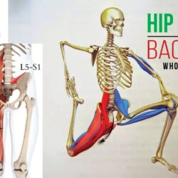 How can stiff and tight muscles result in back pain?